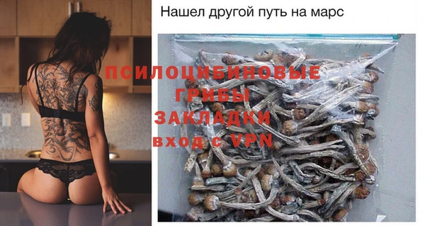 соль ск Алексеевка
