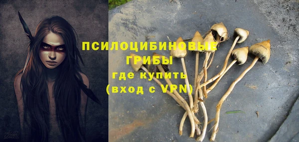 соль ск Алексеевка