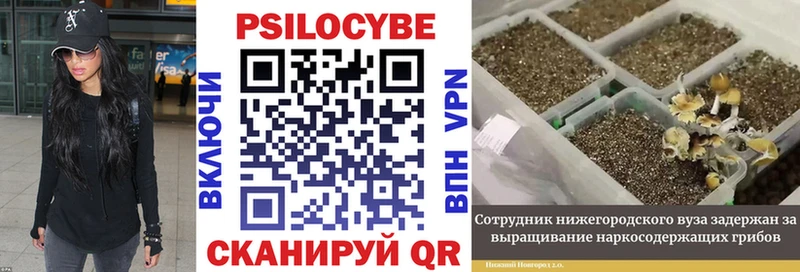 Псилоцибиновые грибы ЛСД Чердынь